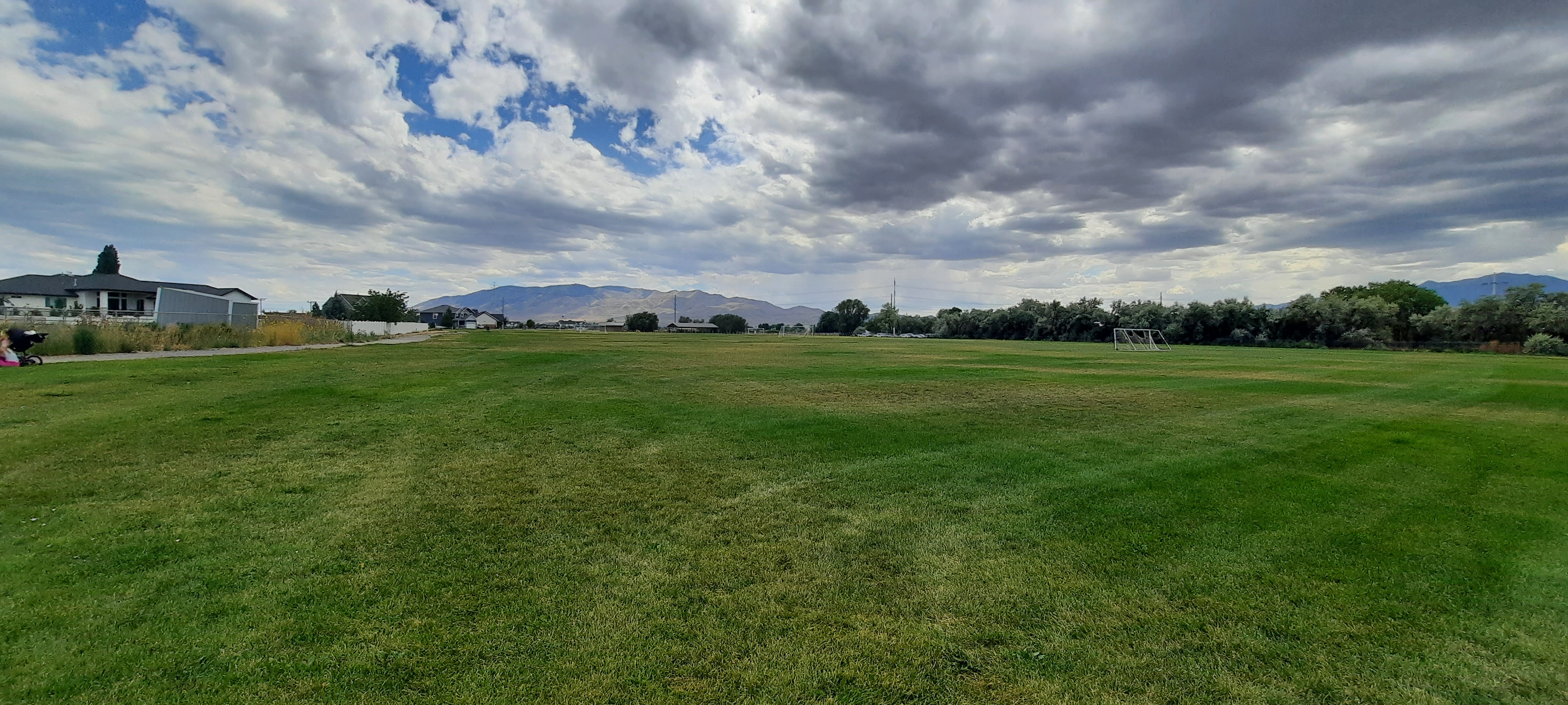 Green field at Osier Park