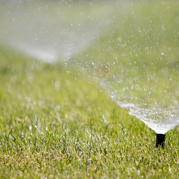 Sprinklers