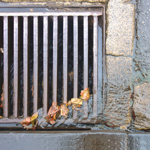 glass of drinking water