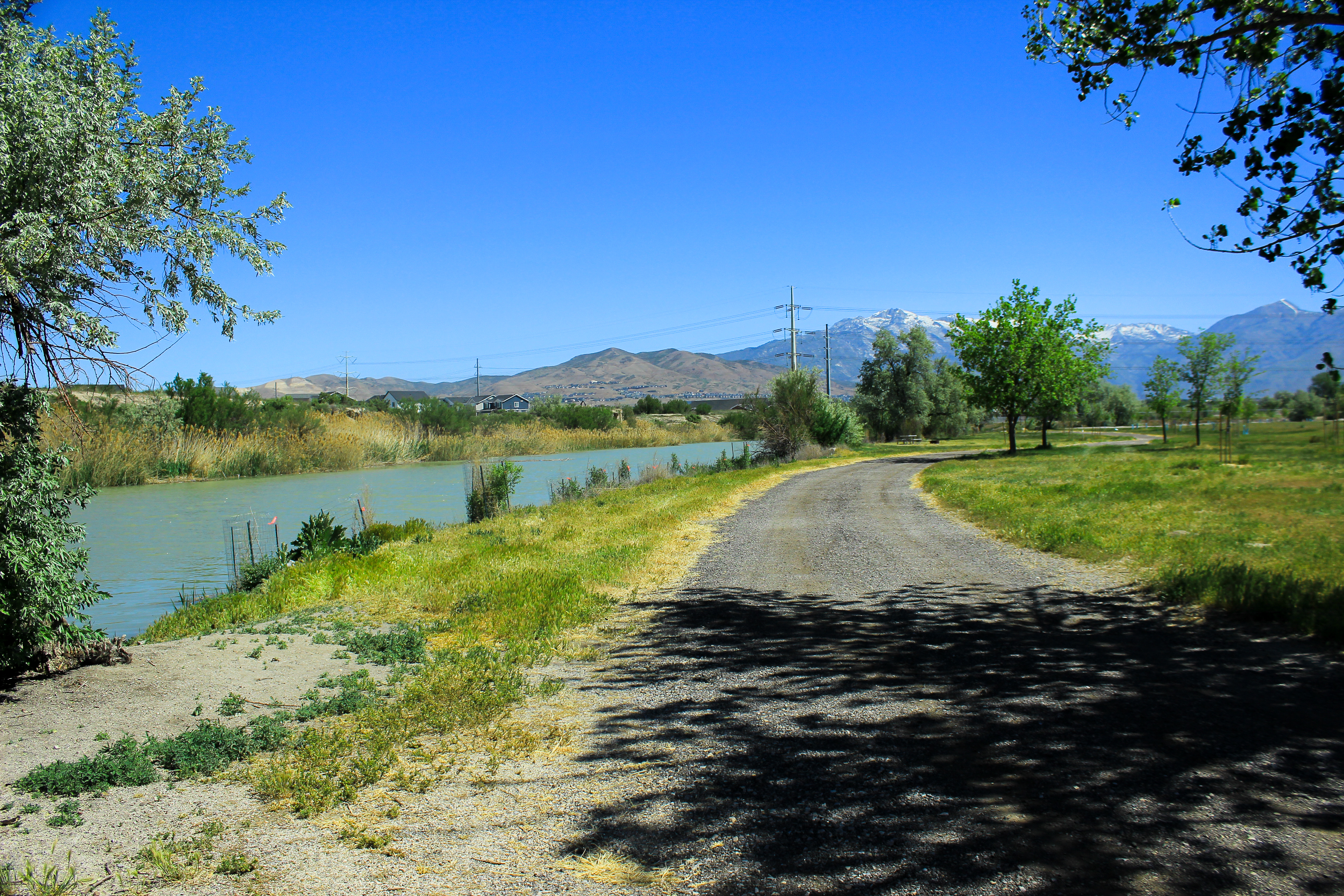 Willow Creek walking trail