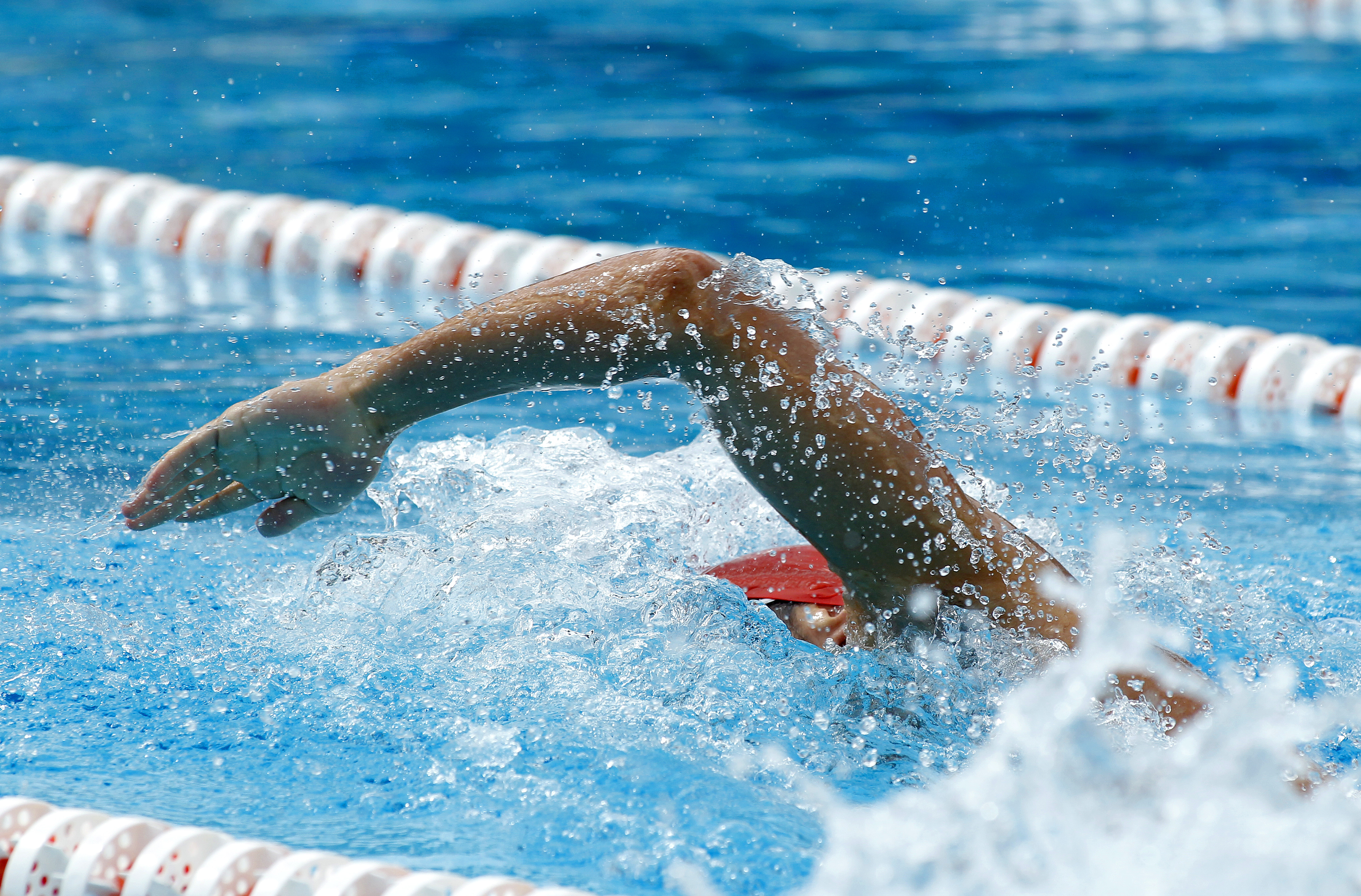 Male lap swimmer