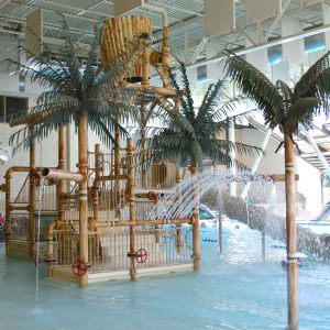 Pool play structure and palm trees