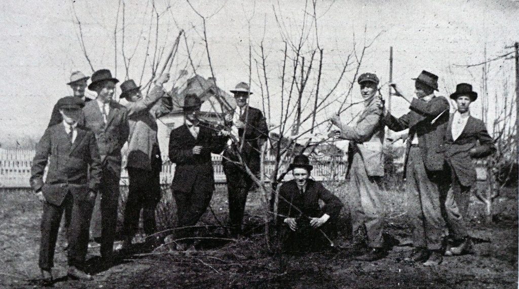 Tree Planting 1915